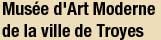site du musée d'Art Moderne de la ville de Troyes