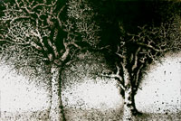 Mario Prassinos, Arbres, 1983